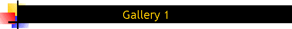 Gallery 1