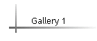 Gallery 1