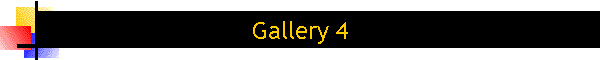 Gallery 4